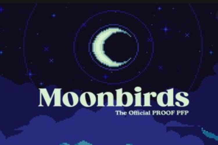 Moonbirds คืออะไร? คำแนะนำเกี่ยวกับ NFT Collection